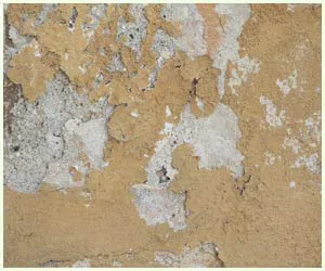 Hialeah Restoration Expert Hialeah, FL 786-377-6270 - water-damage-side