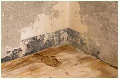Hialeah Restoration Expert Hialeah, FL 786-377-6270 - water-damage-sidebar